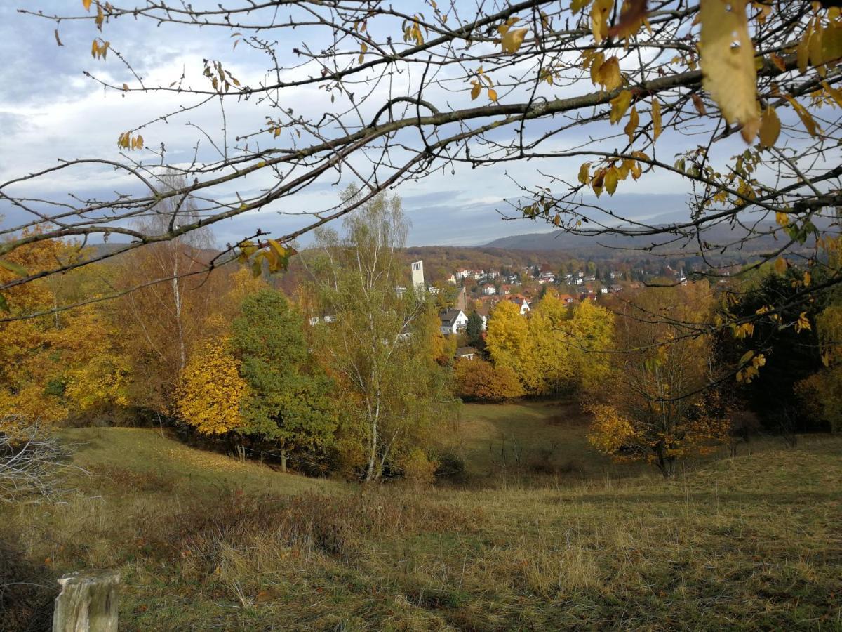 Ravensbergblick - Harzlich Willkommen In Bad Sachsa Lejlighed Eksteriør billede